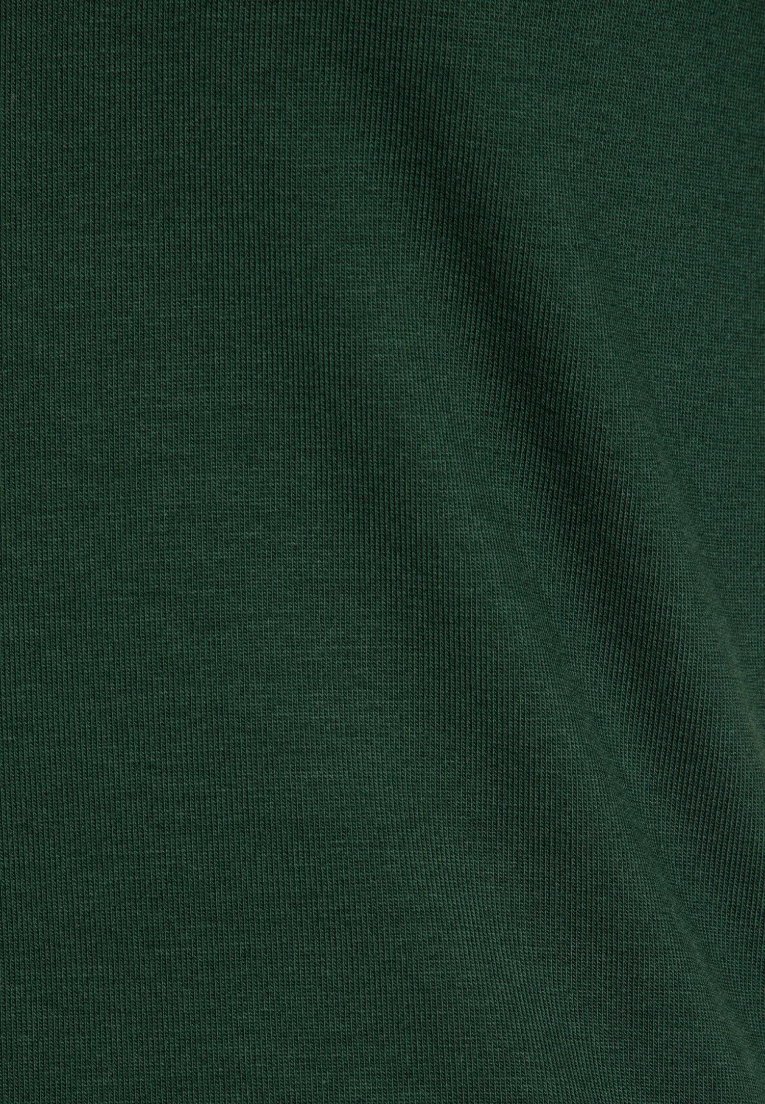 Vero Moda Vmpanda - Basic T-Shirt - Pine Grove 7 Vero Moda Vmpanda - Basic T-Shirt - Pine Grove - Image 5